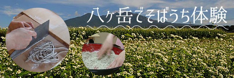 �ό� �̌��@������@�����x�@�����@���V