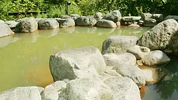 ������ ���� �B�� �M�B �ό� �h�� �� �f���܂� �z�e��