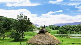 ��B�� �z�e�� ���� �h�� �ό� �f���܂�